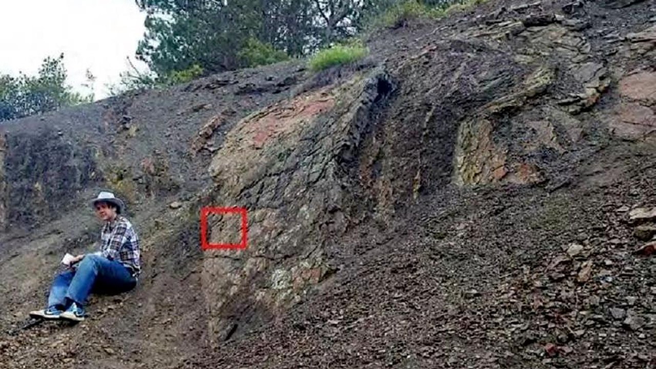 Descoberta inédita: concha de molusco de 180 milhões de anos encontrada na Crimeia