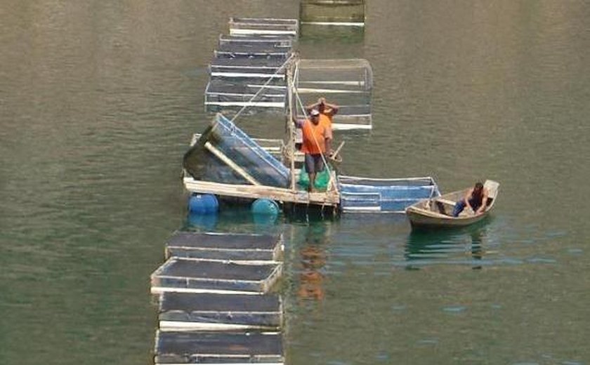 Piscicultura de Alagoas é destaque em Feira Pernambucana