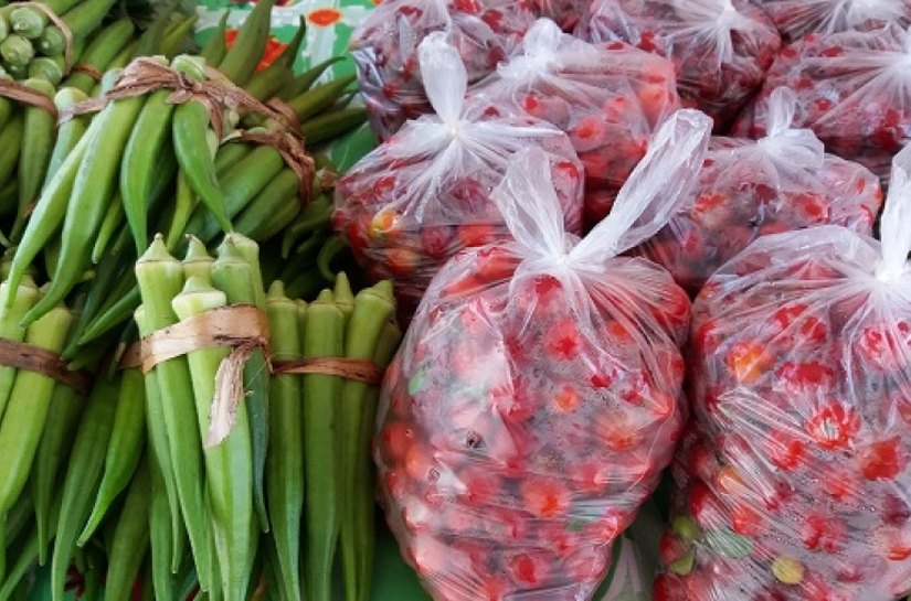 Primeira feira orgânica de 2018 contou com Aldeia Verde na Semarh