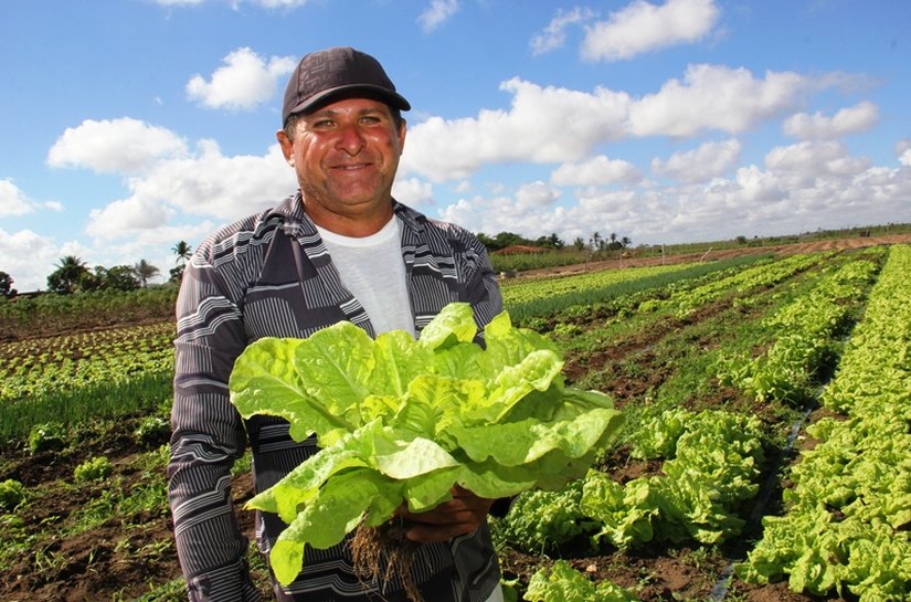 Arapiraca: Programa de Aquisição de Alimentos incentiva agricultura familiar