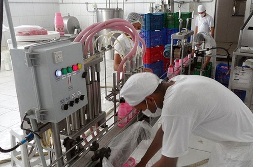 Fábrica de laticínios vai gerar 250 empregos em Murici