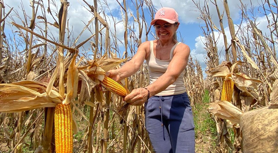 Senar oferta curso, treinamento e capacitação para produtores rurais em Sergipe; saiba como participar / Foto: Foto: Senar/SE