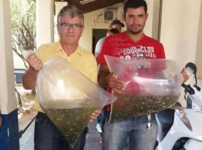 Prefeitura e Estado entregam 20 mil alevinos em Santana do Ipanema