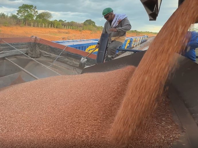 Transnordestina transporta 946 toneladas de sorgo em segundo teste operacional