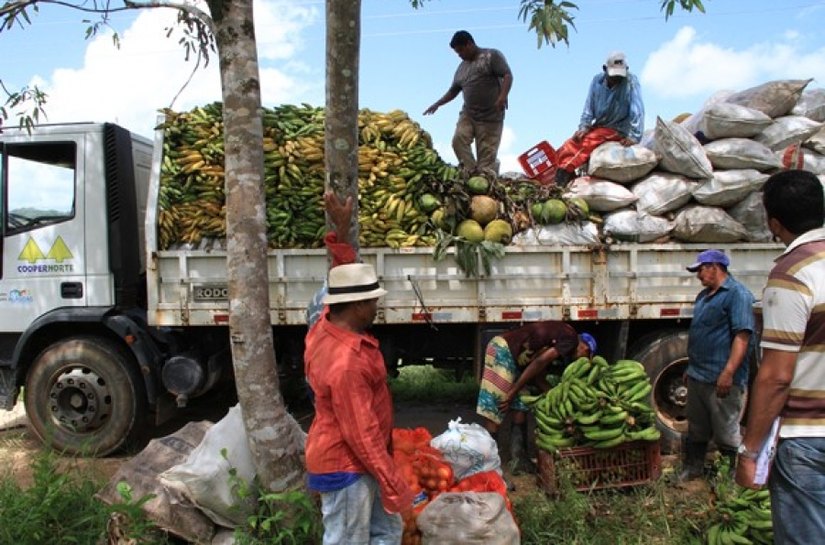 Estado promove seminário sobre fruticultura voltado a produtores de AL