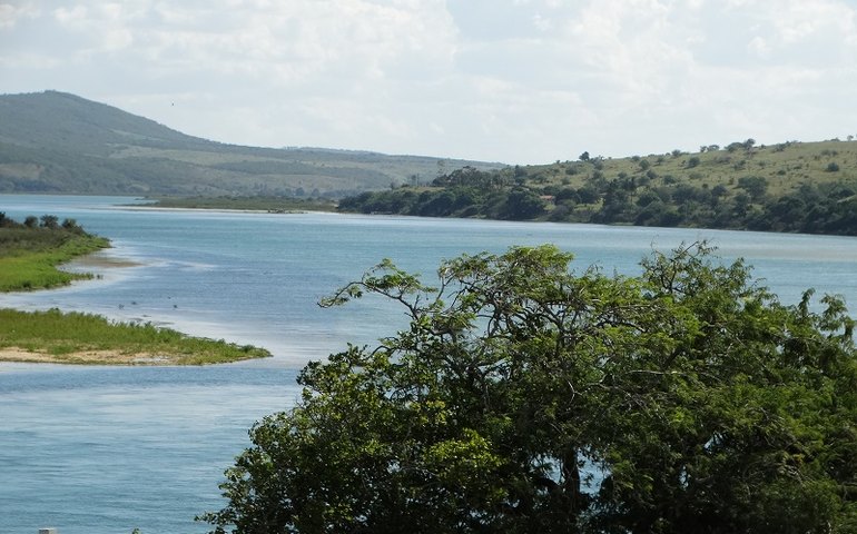 Banhistas são alvos de ataque de Piranhas em Traipu
