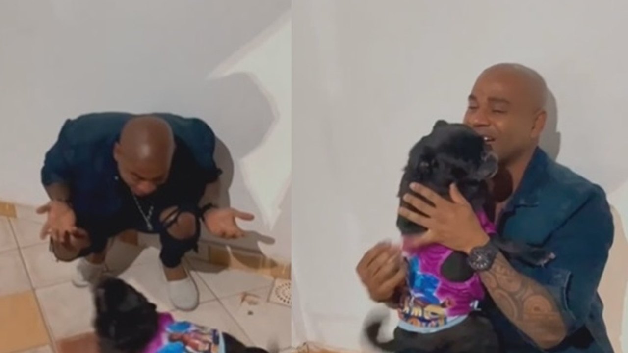 Cezar volta para sua casa após eliminação do BBB 23 e se emociona ao reencontrar cachorro