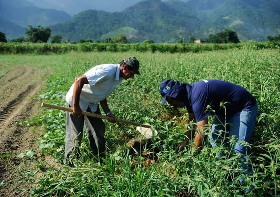 Agricultura familiar: Ministério lança programas de fomento em Mato Grosso