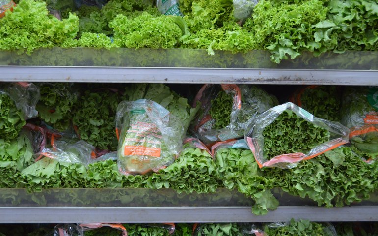 Preço de hortaliças sobe em outubro no atacado, diz Conab