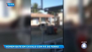 Cavalo