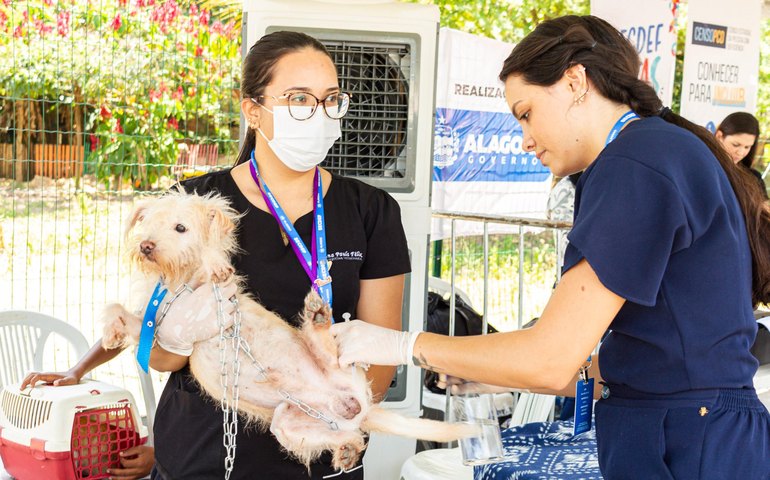 Secretaria da Cidadania promove ações de conscientização sobre guarda responsável de animais de estimação