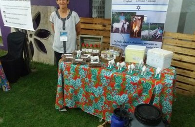 Projeto auxilia produtores no manejo e produção de leite de cabra