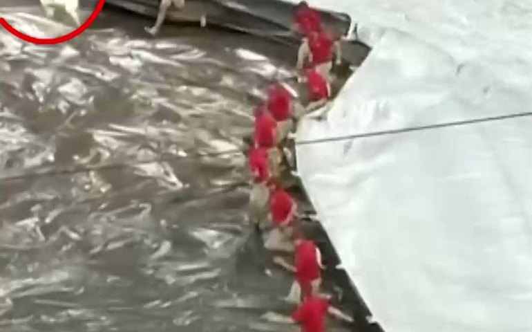 Homem é 'engolido' por lona que cobria gramado em jogo de beisebol, nos EUA; vídeo