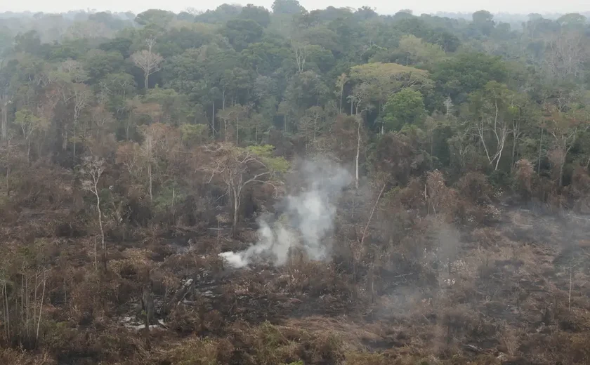 Dino determina que estados da Amazônia expliquem focos de queimadas