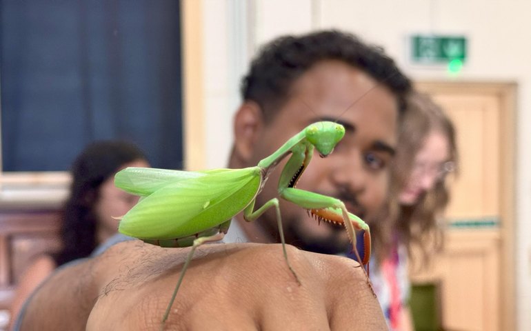 Daqui pro Mundo: alunos alagoanos visitam museu de história natural em Bournemouth