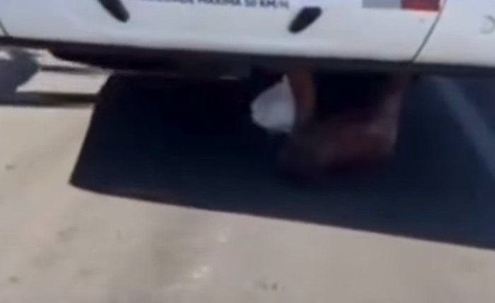 Cena inusitada chamou atenção de quem passava pela Praia da Ponta Verde