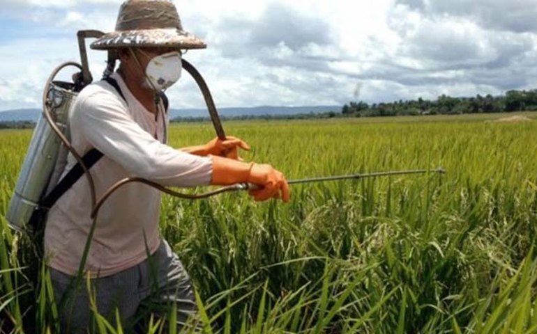 Governo inaugura indústria de massa de concreto em Marechal nesta sexta (11)