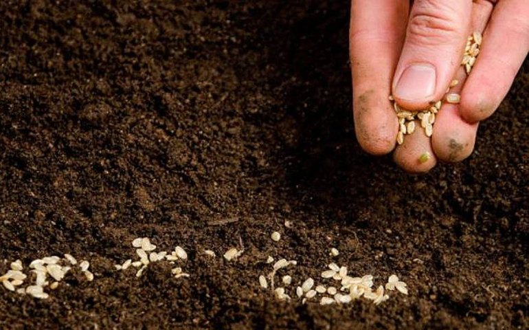 Acordo com Canadá prevê aumento de importação de fertilizantes
