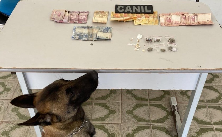 Abordagem com cão da PM em Arapiraca resulta em prisão por tráfico de drogas