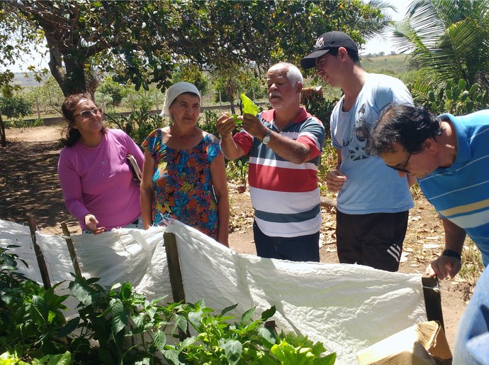 Arapiraca: Projeto Horta no Quintal “floresce” no Carrasco e Pau d’Arco