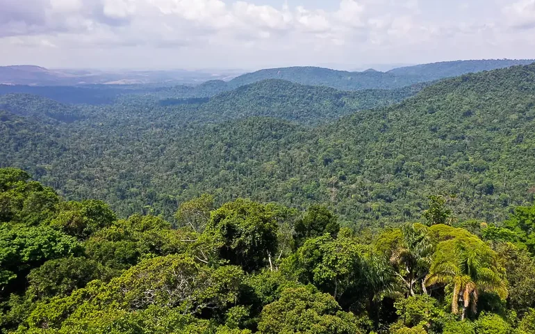 Brasil apresenta prioridades do GT sobre Sustentabilidade Ambiental