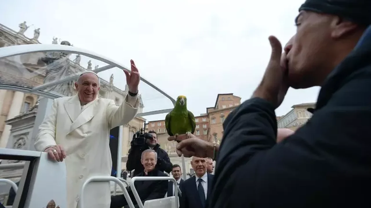 Cardeal celebra missa em sufrágio de Papa: 'Era incansável'