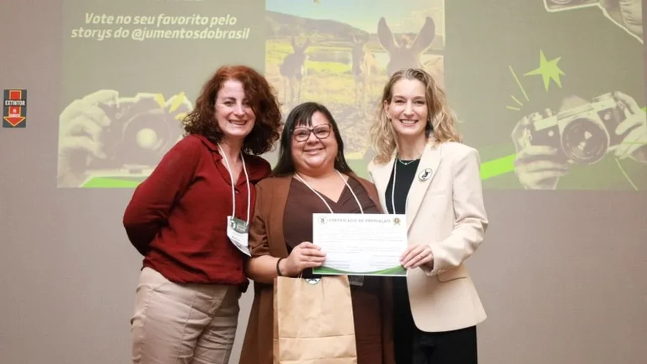 Grupequi se destaca com quatro premiações em workshop internacional na BA