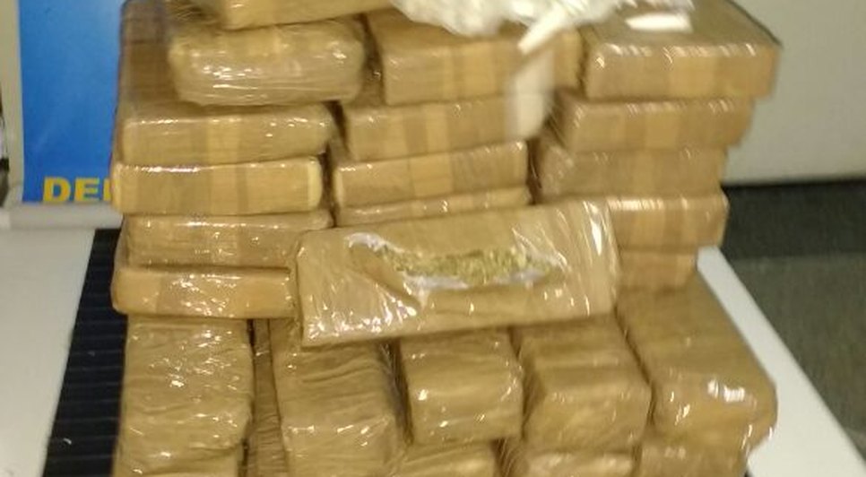 apreensão de cocaína e maconha
