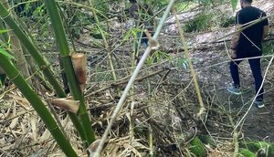 Motorista de aplicativo é encontrado morto após ser sequestrado em Sergipe / Foto: Foto: SSP/SE