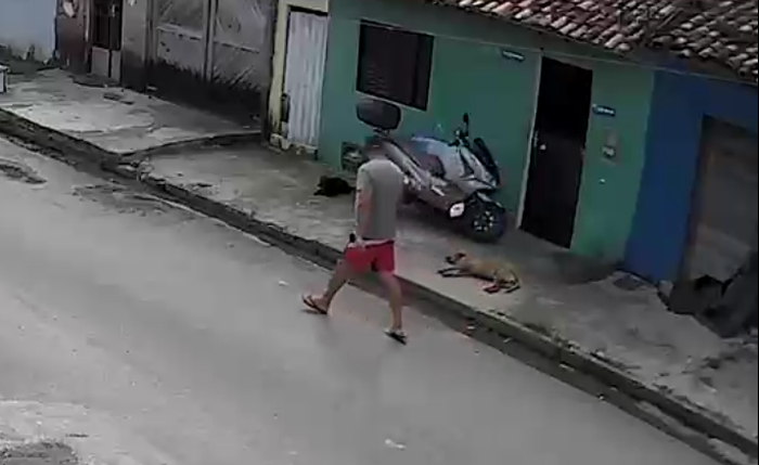 Vídeo mostra homem jogando comida na rua em direção a cães no Tabuleiro dos Martins, em Maceió