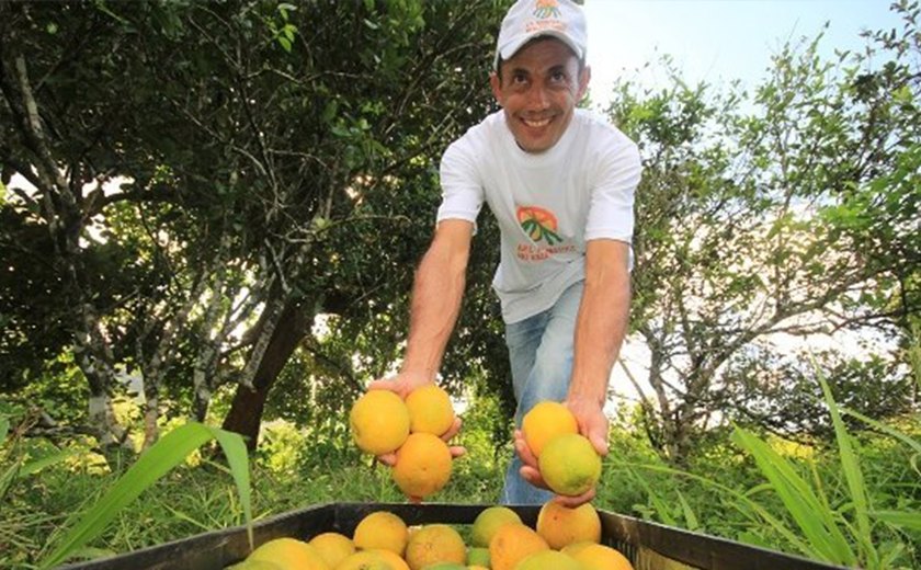 Empresa francesa quer investir em região do APL Fruticultura no Agreste