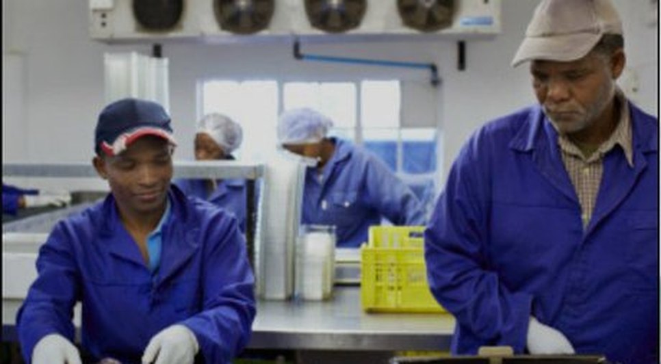 Quantidade de dias trabalhados no Brasil se aproxima da Noruega, já os serviços... Foto: Getty Image