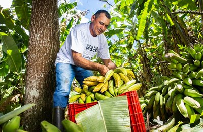 Cooperativas da agricultura familiar contribuem para o desenvolvimento econômico de Alagoas