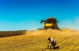BNDES disponibiliza R$2 bilhões em crédito no setor agropecuário