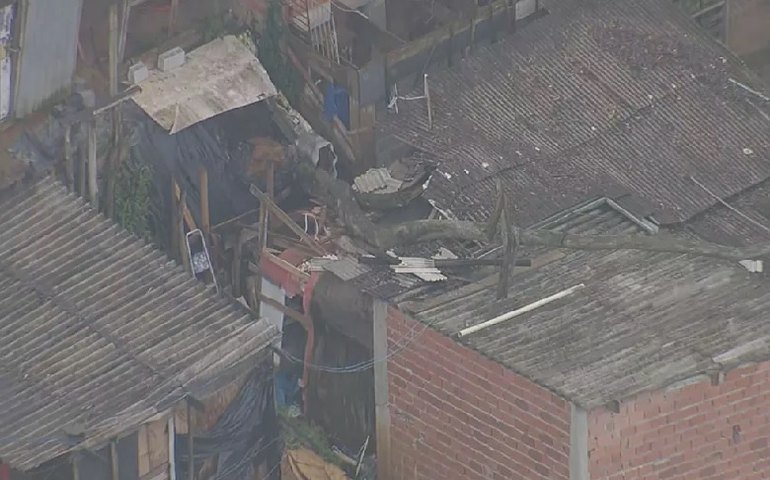 Queda de árvore após chuva mata homem em Santo André, no ABC paulista