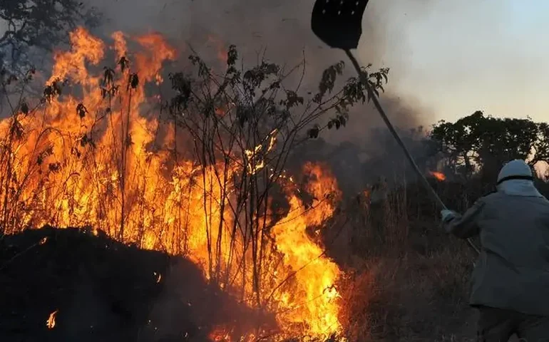 Incêndios florestais causam prejuízos de R$ 2,1 bi e impactam mais de 19,2 mi de pessoas em 2024