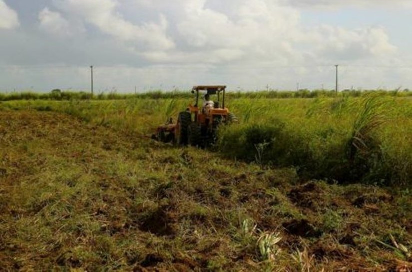Prefeitura de Pilar vai entregar dois mil metros quadrados de terra a agricultores