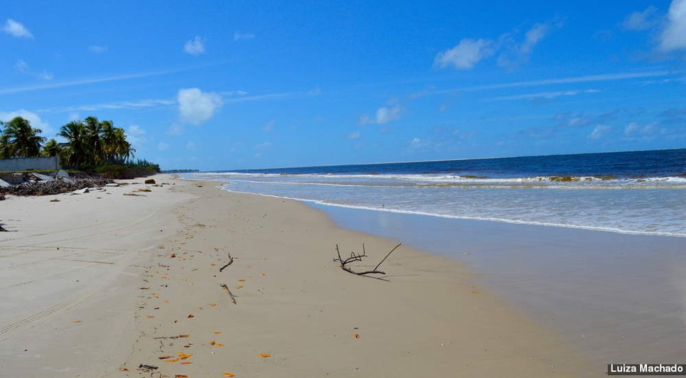 Praia do Saco / Foto: Foto: Luzia Machado