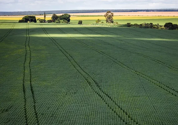 Aprosoja-MT diz que licenciamento ambiental trará agilidade para obras e produtores