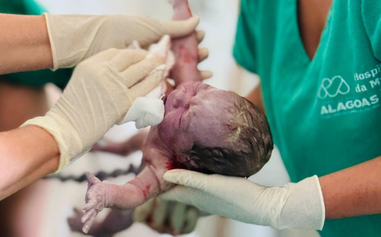 Hospital da Mulher Dra. Nise da Silveira realiza mais de 3.700 partos em 2024