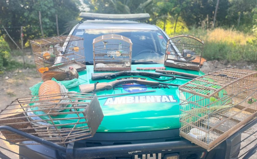 Polícia realiza operação e apreende aves e armas em Porto de Pedras