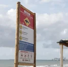 Vítimas de ataques de tubarão estão internadas na UTI em Pernambuco