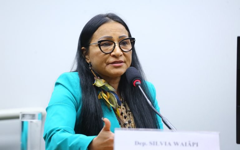 CPI das ONGs recebe denúncias de desvios e explorações na Amazônia