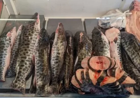 Estudo indica contaminação por mercúrio em seis estados da Amazônia