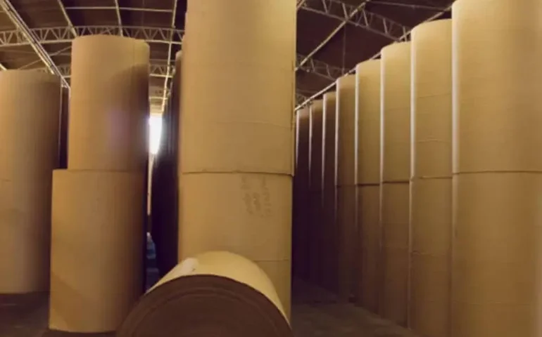 Empapel: expedição de papelão ondulado atinge 360,61 mil toneladas em maio, recorde para o mês