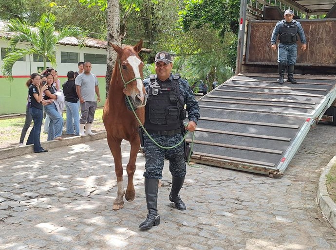 Cavalo da PM-AL é doado ao Ifal para uso em ensino e pesquisa agropecuária