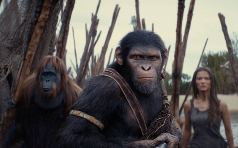 Sequência do novo 'Planeta dos Macacos': equipe disfarça, mas atriz revela: 'Sei de coisas'