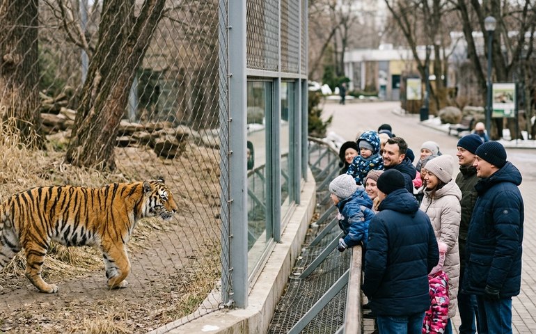 Zauri encanta visitantes no zoológico de Moscou