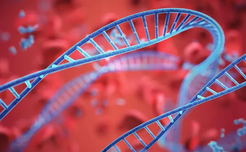 Pesquisa abre caminho para diagnóstico precoce da ELA