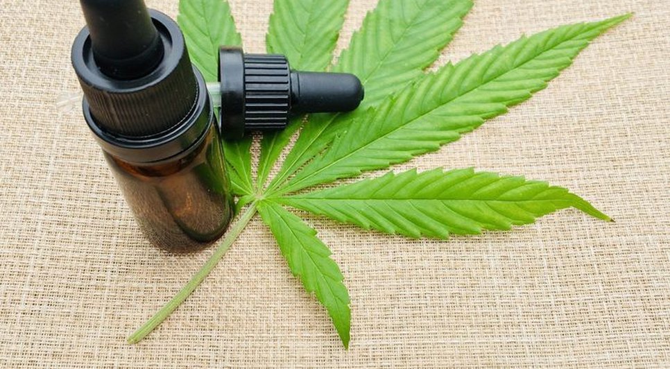 cannabis_medicinal_0 / Foto: Foto: reprodução EBC